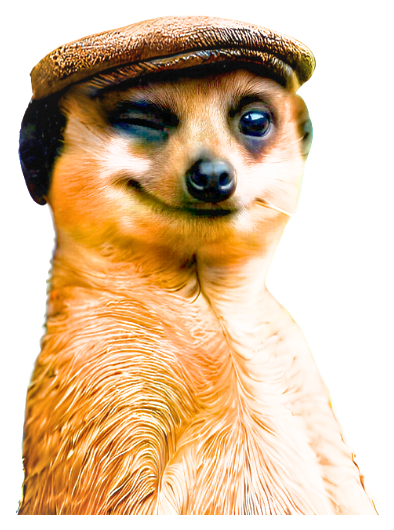 Greg the Meerkat — hero